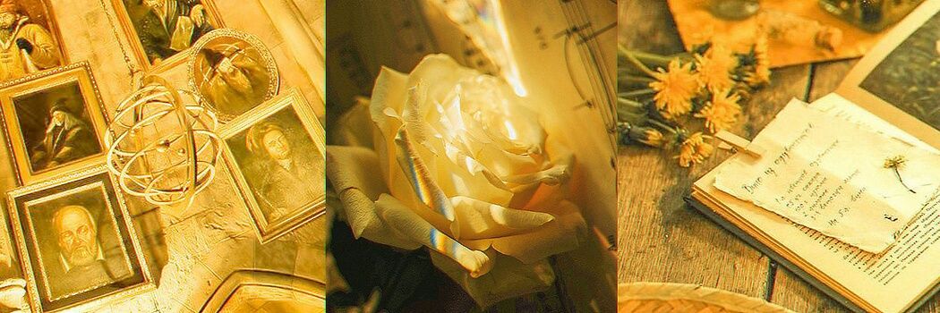 drishti ♡'s banner