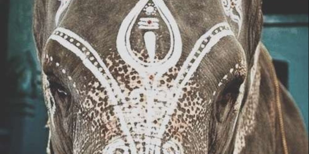 MSalomeP's profile banner image