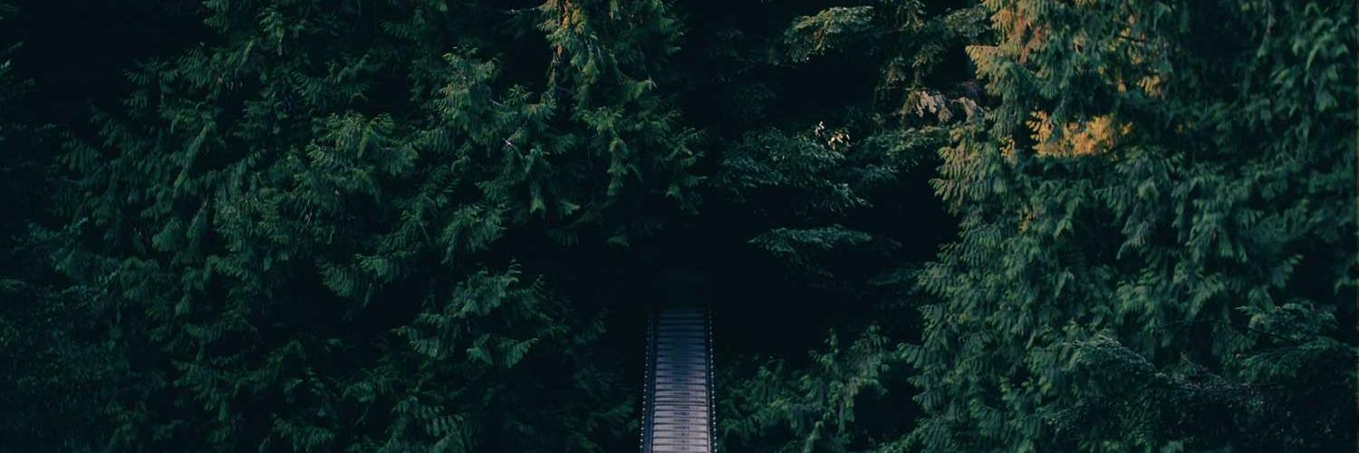 anxdae's profile banner image