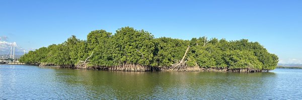 MariaMoraPhD Profile Banner