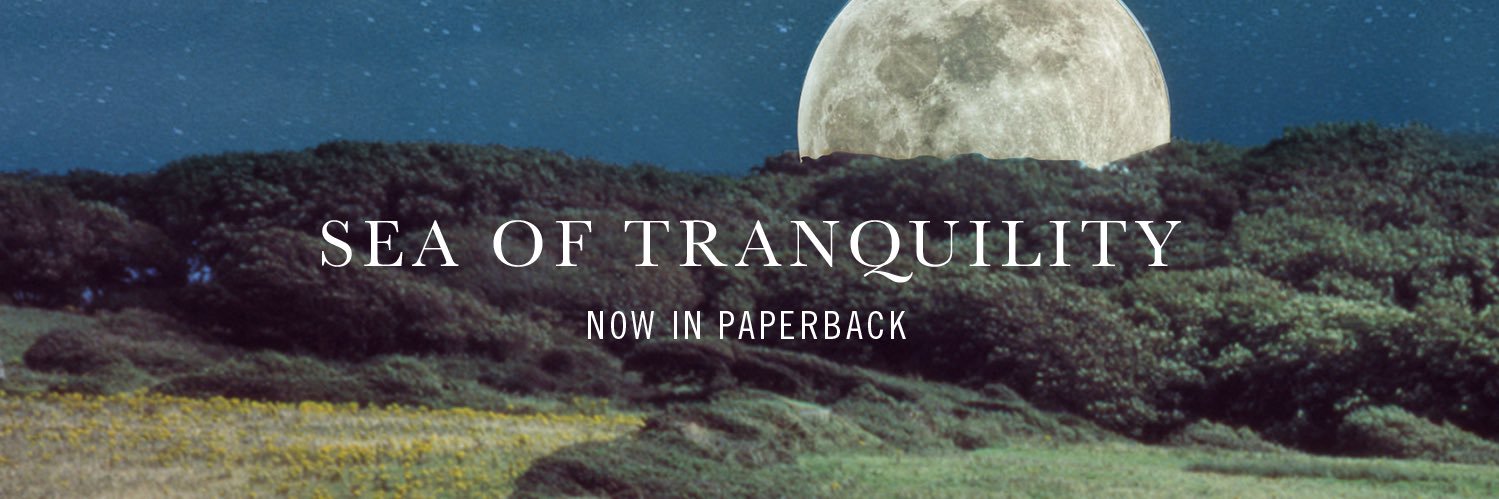 Emily St. J. Mandel banner