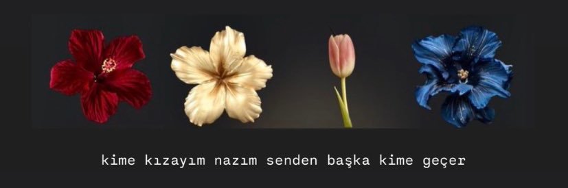 Guloke banner