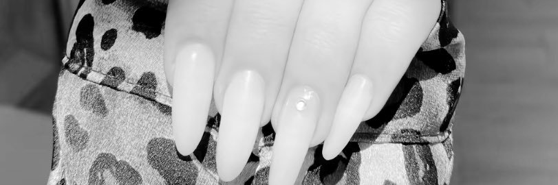 🐆 banner