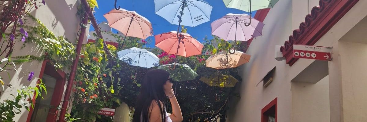 rosalesmicu's profile banner image