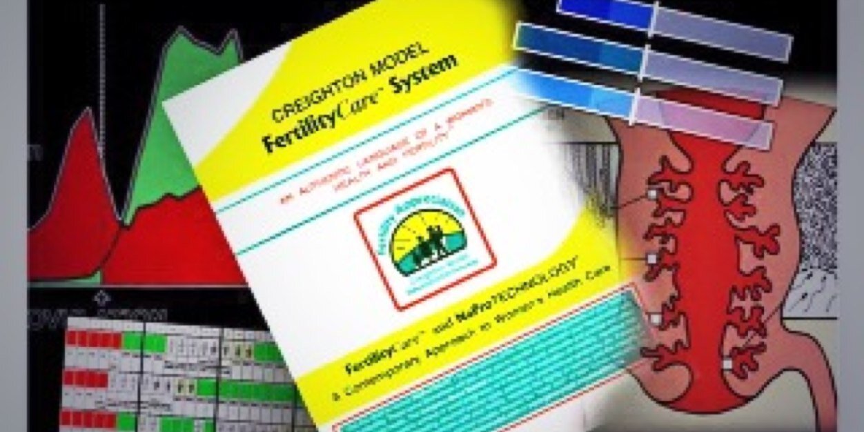 NaProFertilidad's profile banner image