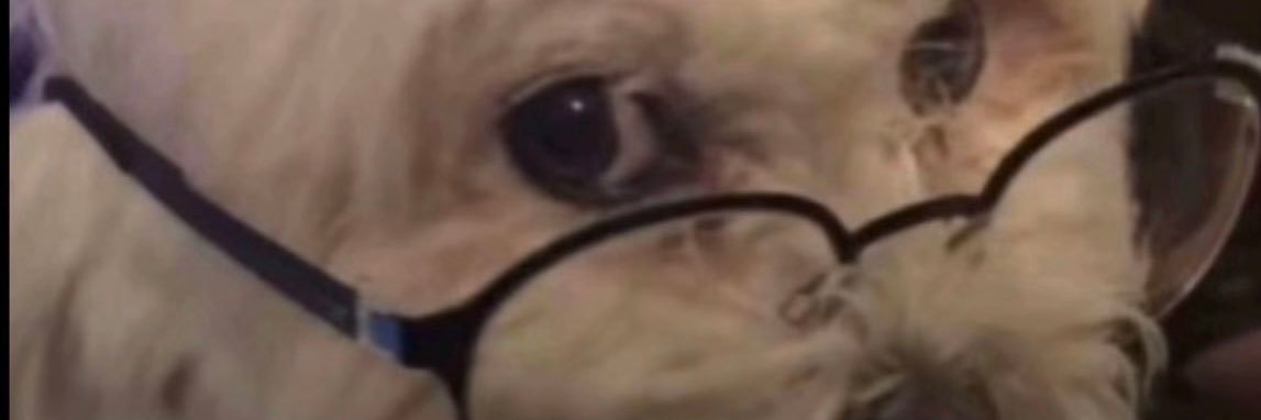 b_fuunk's profile banner image