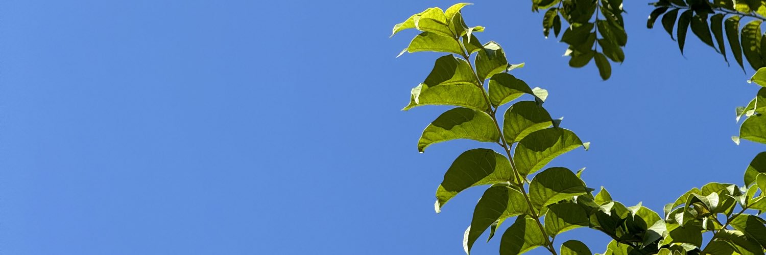 Jaws_911's profile banner image