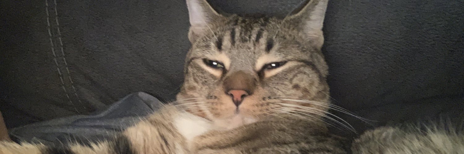 Gimo_4's profile banner image