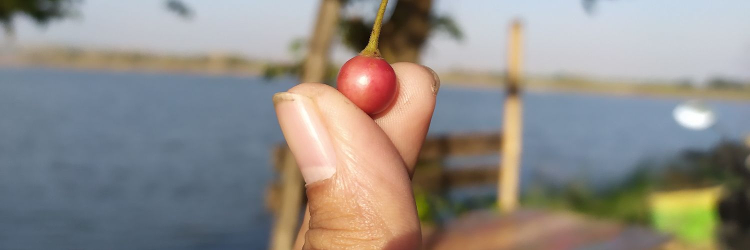erefik06's profile banner image