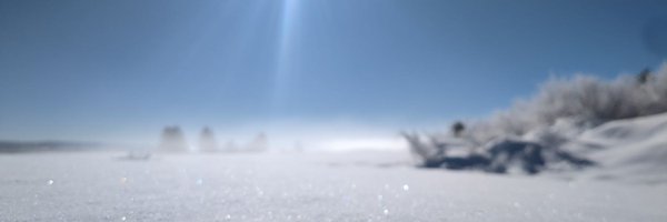whiteg0y Profile Banner