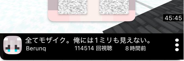 BerunaHidden Profile Banner
