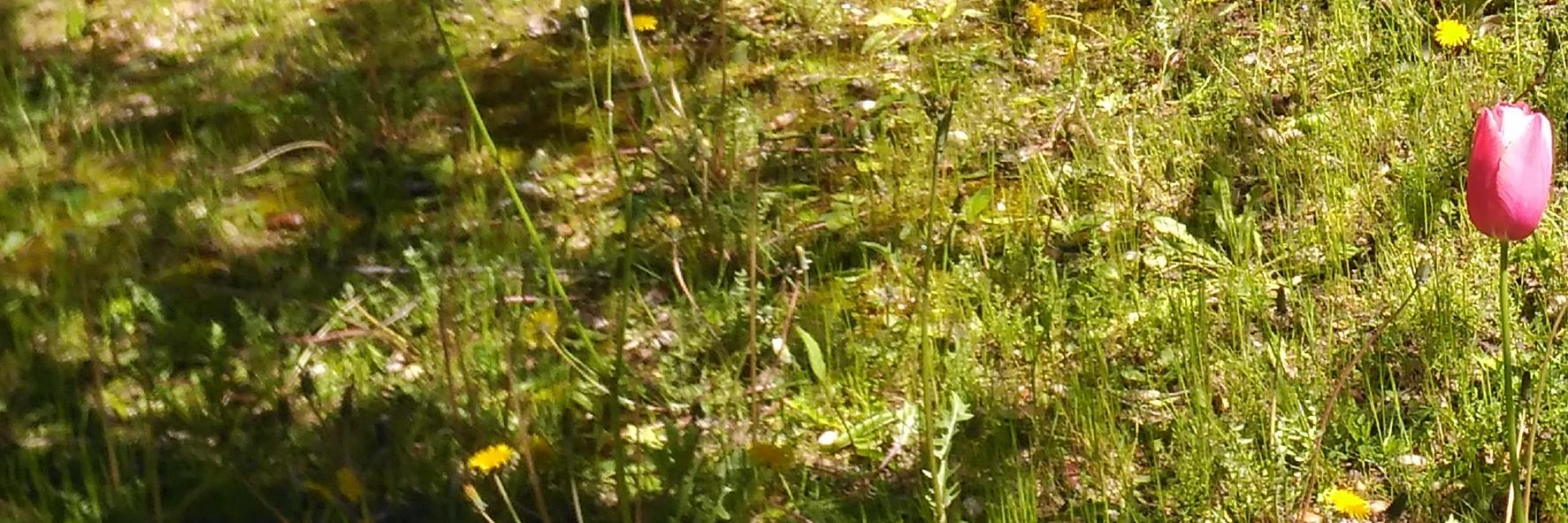 Pablo E. García banner