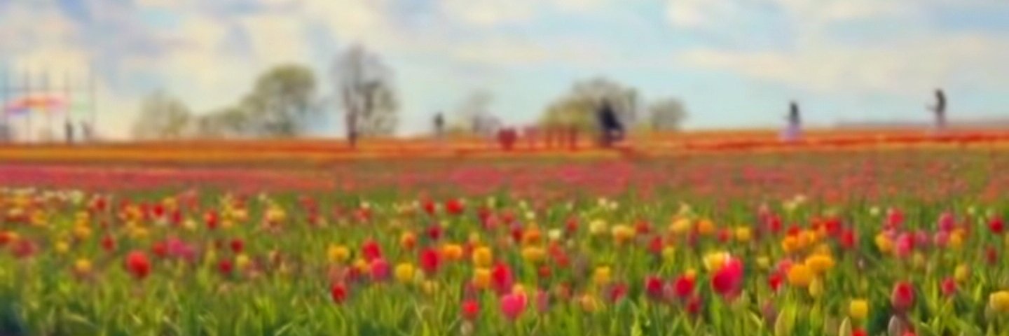 🇵🇭gracebeau🇨🇦 banner
