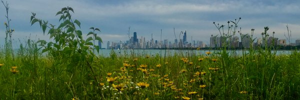 caranoverio Profile Banner