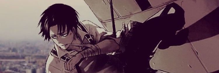 Levi’s Medic banner