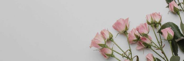 karinaofdite's profile banner image