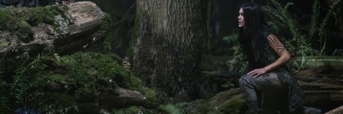 * 𝒗erenα 𝒄αmpbell. banner
