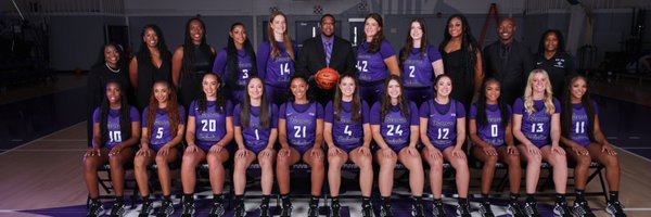 FurmanWBB Profile Banner