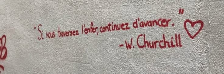 fleur⋆. 𐙚 ˚ banner