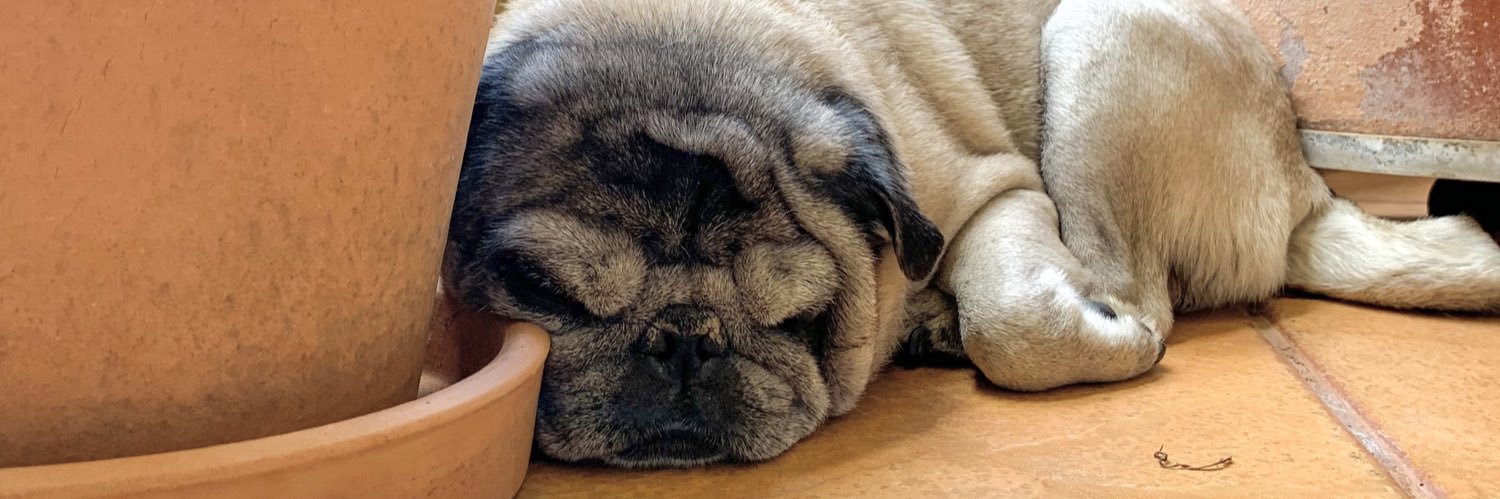 Barbara Conte banner