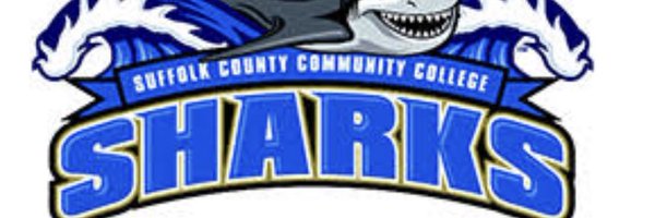 SUNYSFLKBSBL Profile Banner