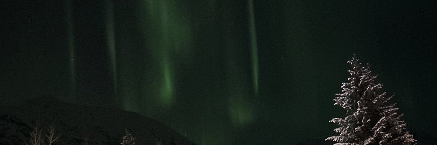 Maple Noodleton banner