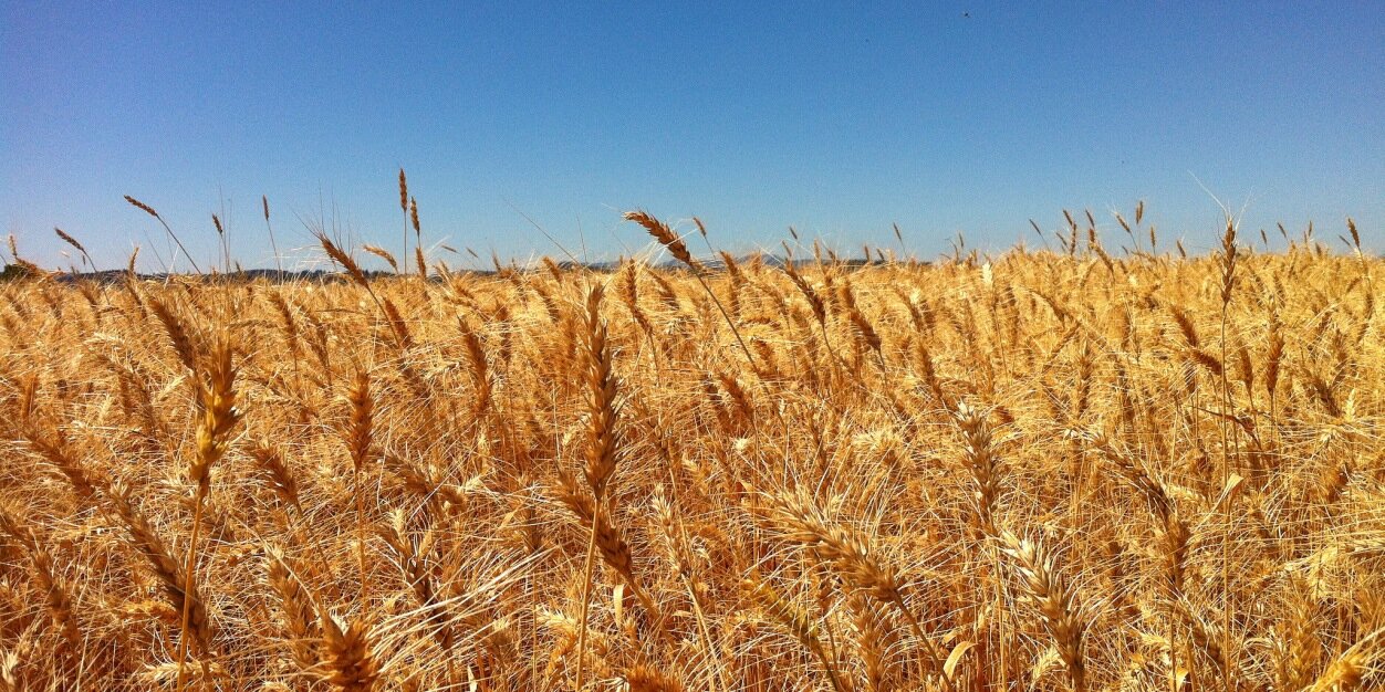 CamasCountry's profile banner image