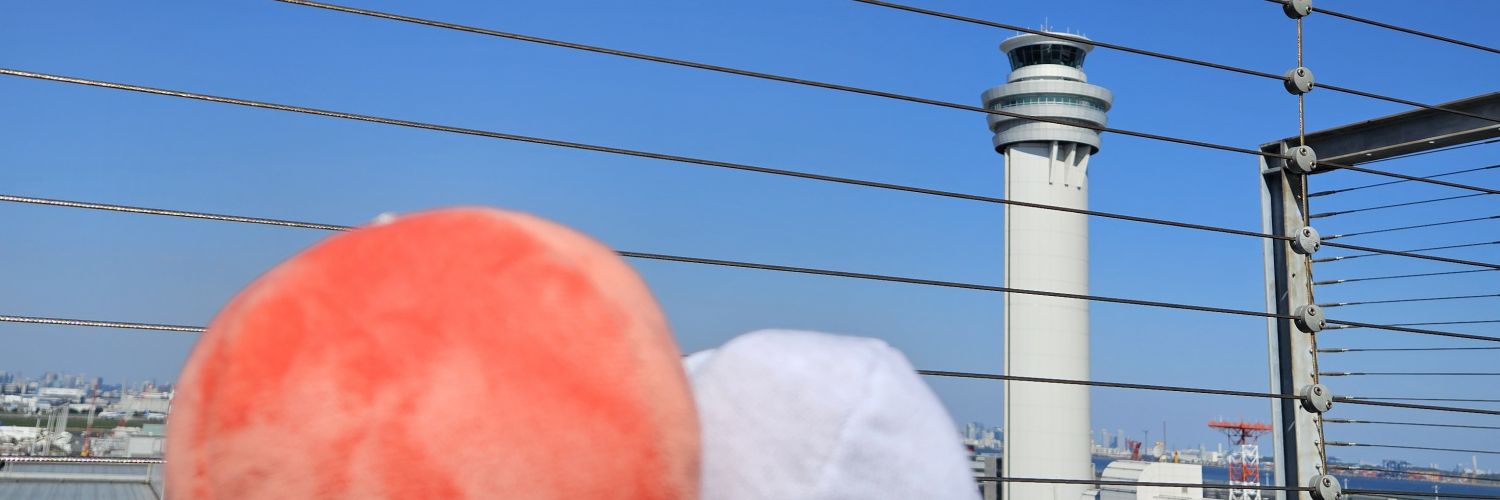 aya banner