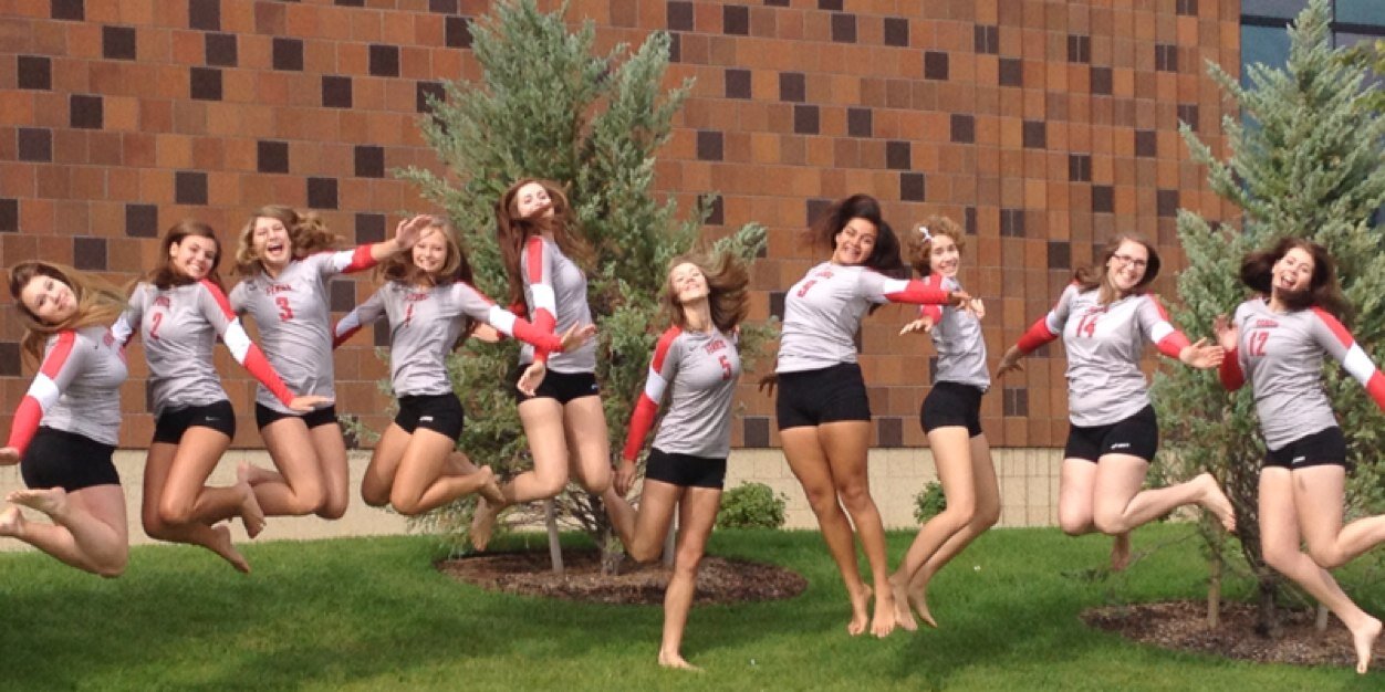 Ferris Volleyball banner