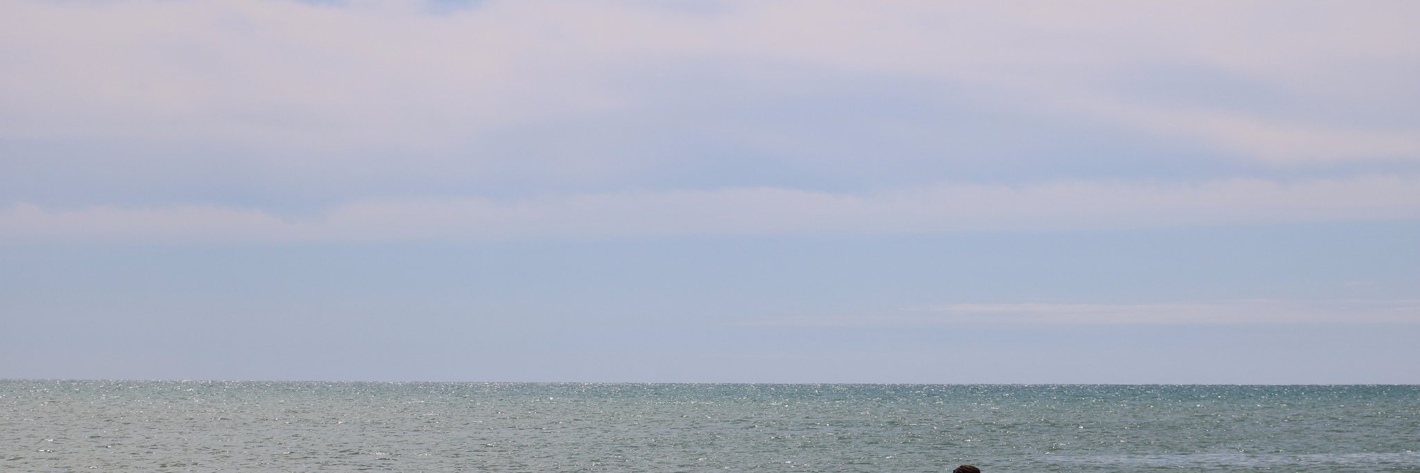mokestrel's profile banner image