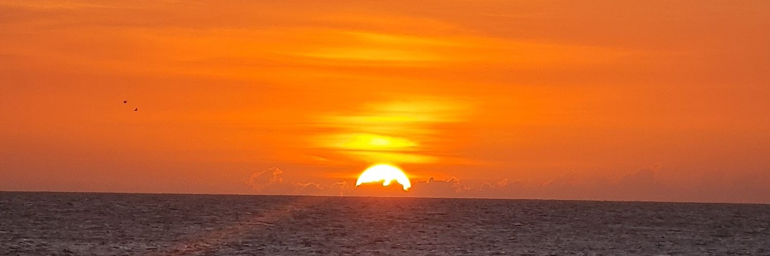 javitocali's profile banner image