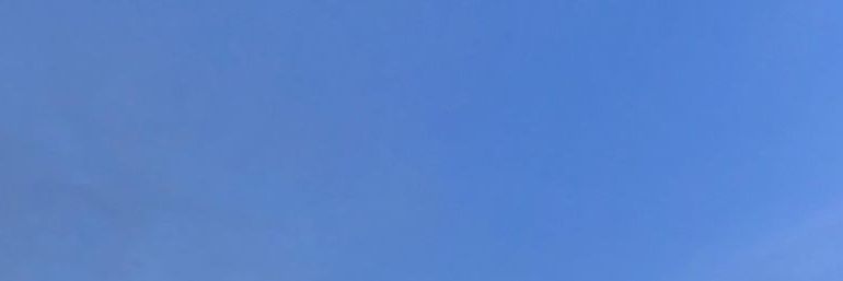 liss never dies banner