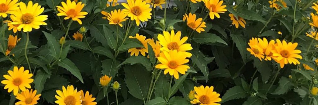 rhkrtjdud's profile banner image