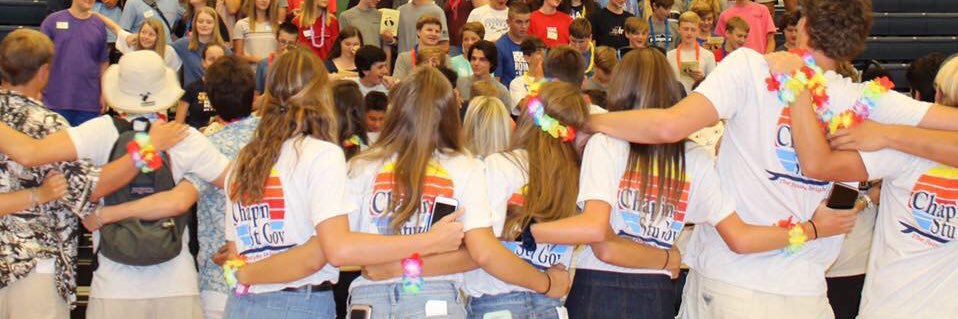 Chapin Stu Gov banner