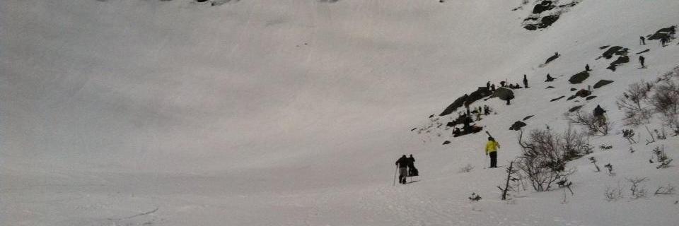 Daniel Roberto banner