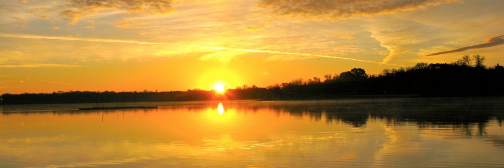 PurposefulLeadership banner