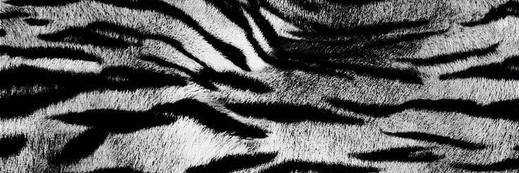 matilda 𐕣 edtwt banner