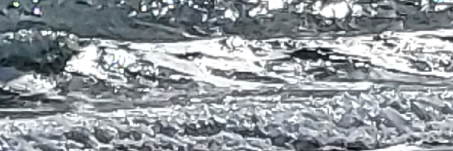 부산갈매기 banner