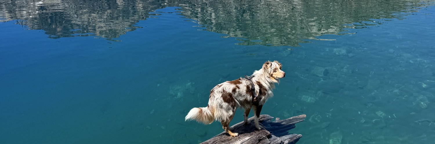 Bailin Xie O'Rielly banner