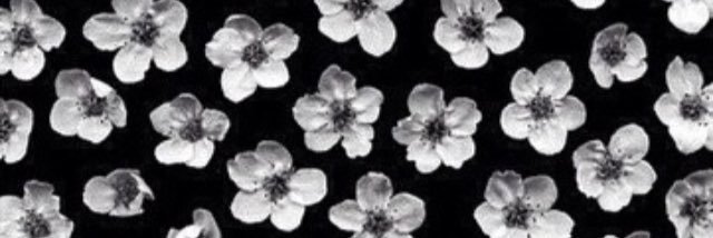 SARAPOPE_'s profile banner image