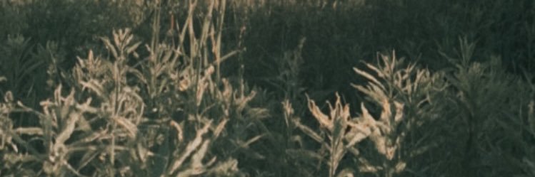 Mic-mic Juane banner