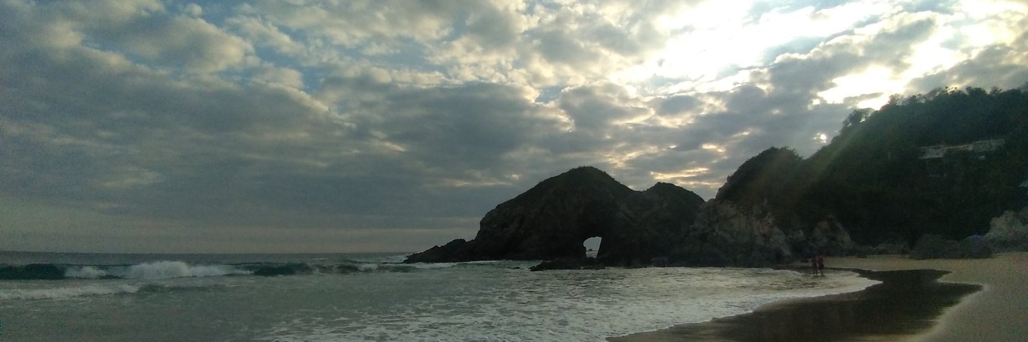 Dandoelrollmx banner