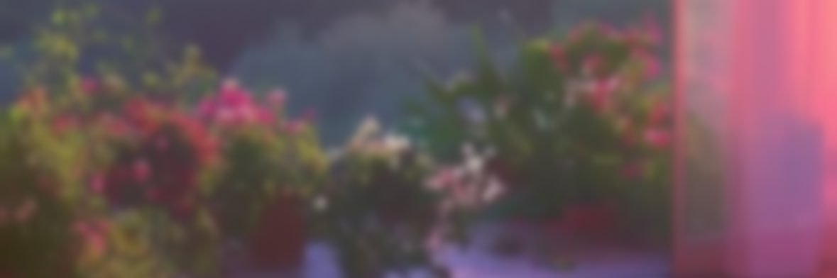 VAY BUSH GIRL's banner