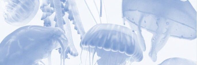 Pew banner