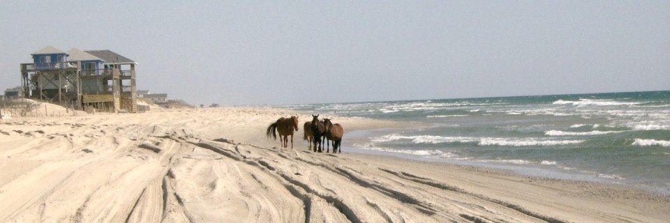 4x4RE's profile banner image