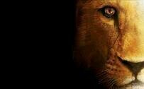 Diegocruzigp's profile banner image