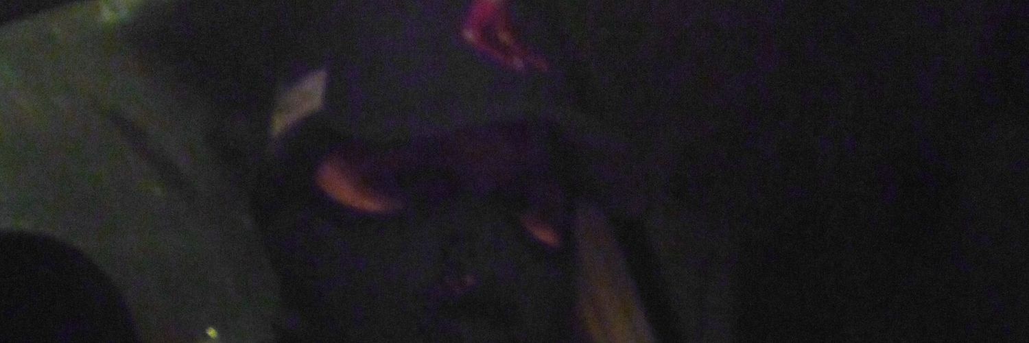 TonyCastillo909's profile banner image