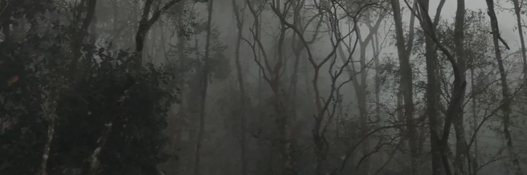 Ro_mushisho's profile banner image