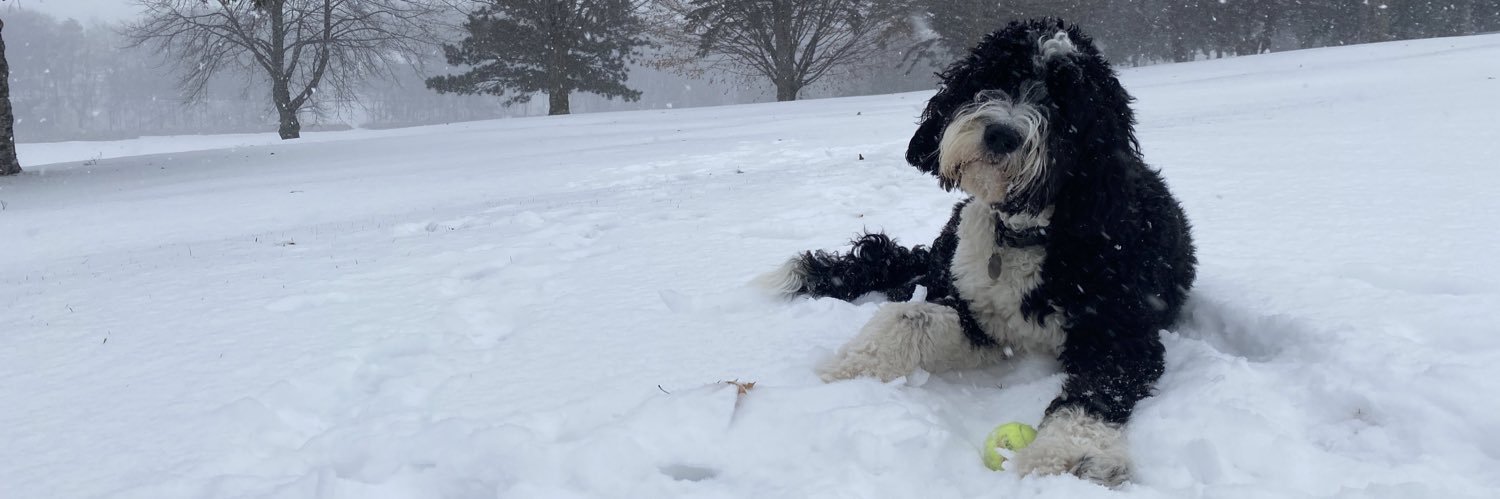 Marissa Murphy (Janning) banner