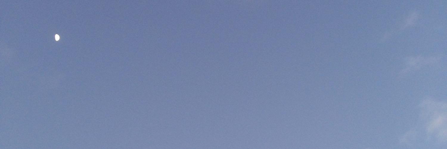 CattyRusher's profile banner image